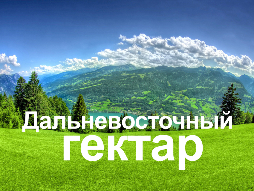 Вниманию граждан, взявших в пользование «дальневосточный гектар»