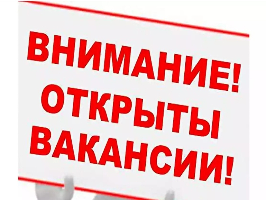 Внимание! Открыты вакансии!