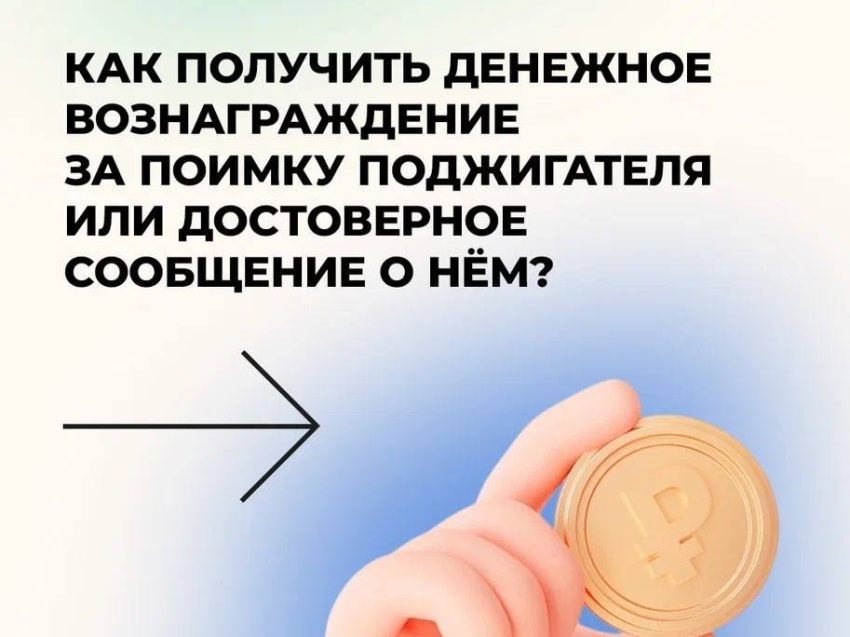 Как получить денежное вознаграждение за поимку поджигателя? Объясняем в карточках!