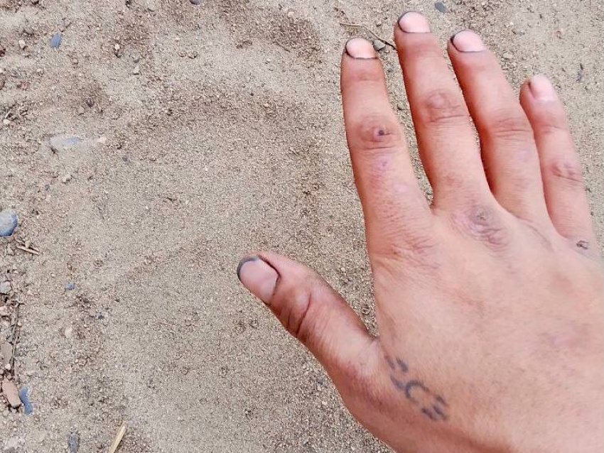 Забайкалье в огне! Но не только огонь угрожает сейчас человеку. Из-за масштабных лесных пожаров дикие животные вынуждены покидать свои привычные места обитания и выходить к людям.