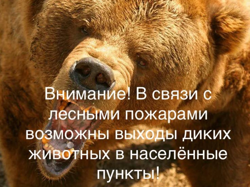 Уважаемые жители Улётовского округа! Важная информация!