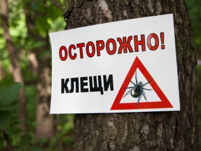 ​О ситуации по клещевым инфекциям на территории Улётовского района Забайкальского края» по состоянию на 11.07.2025