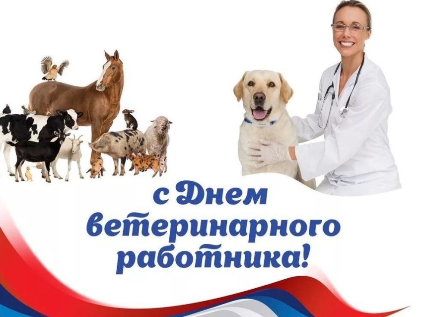 С Днем ветеринарного работника!