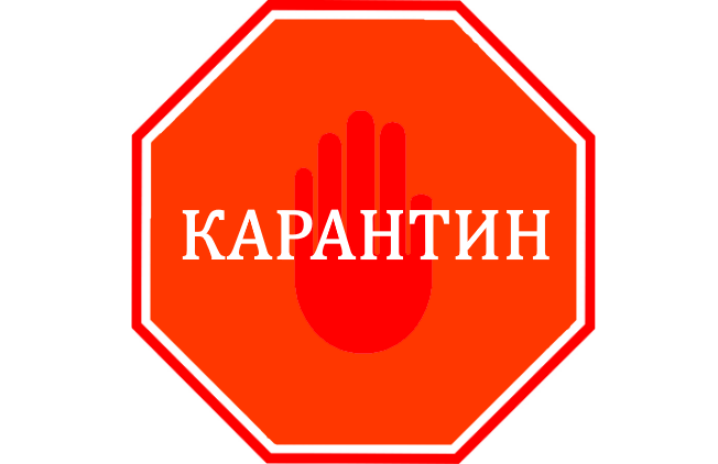 Карантин возобновление