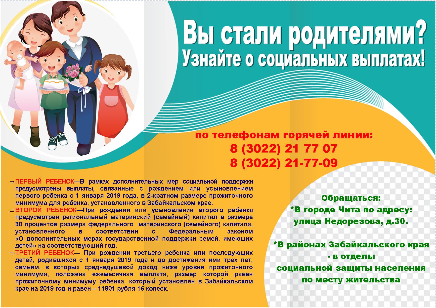 Семьи, в которых с января 2019 года родились или усыновлены, первый или второй ребенок,  получат дополнительную финансовую поддержку