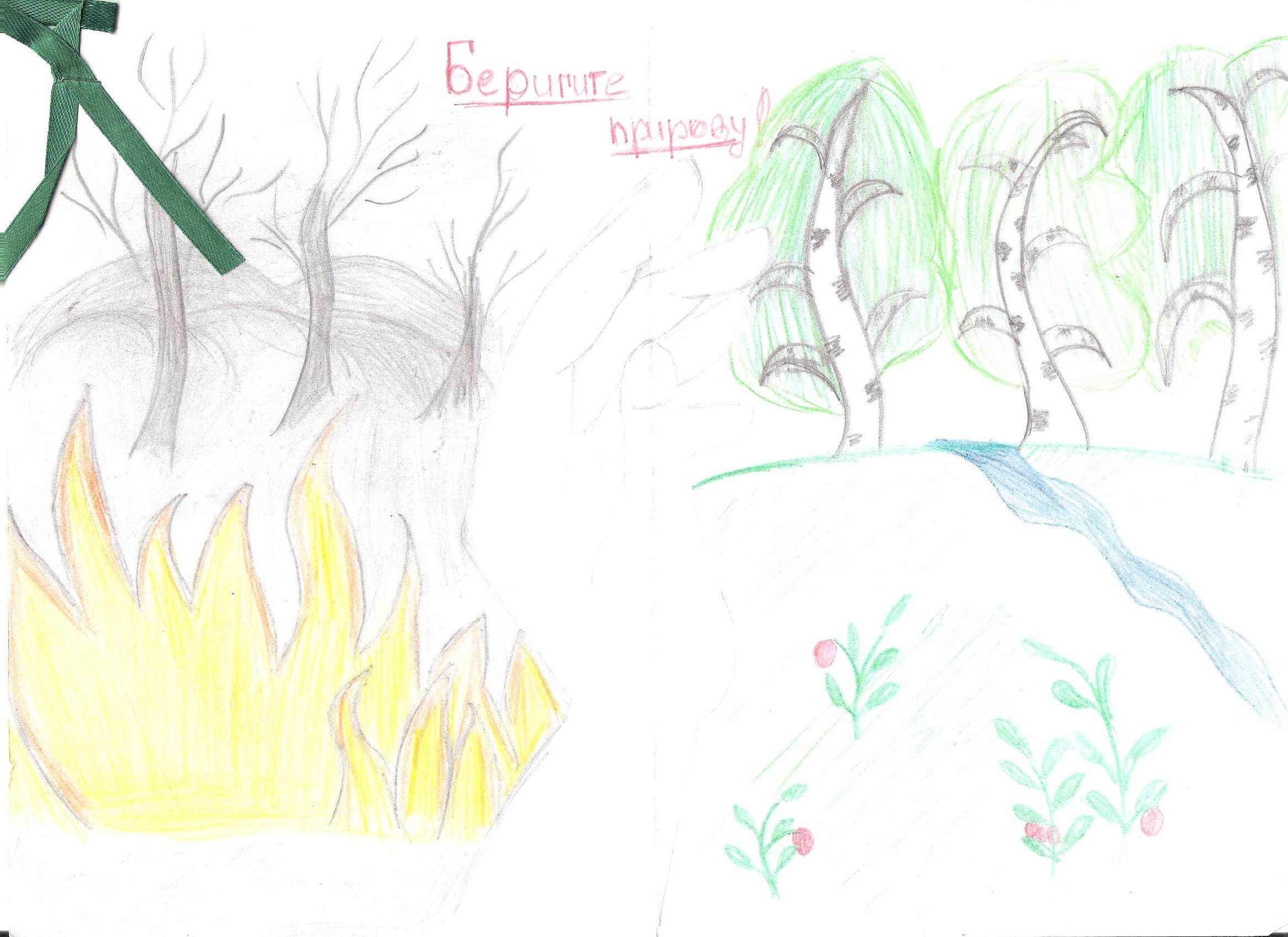 Раскраска спасем лес от пожара