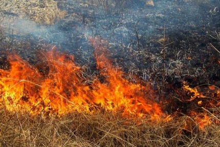 Палы травы могут стать причиной пожаров!
