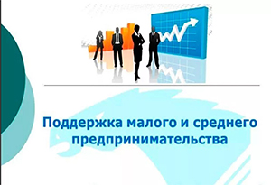 Виды поддержки для развития предпринимательства, в том числе льготном кредитовании и специ¬альных федеральных программах помощи предпринимателям: