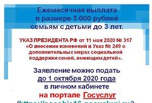 Ежемесячная выплата  в размере 5 000 рублей  семьям с детьми до 3 лет.