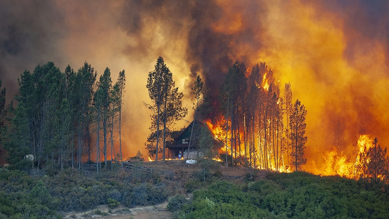 Лесные пожары в Новосибирской области