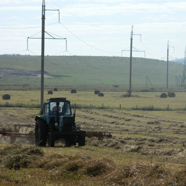 Хозяйства Забайкальского края приступают к заготовке кормов