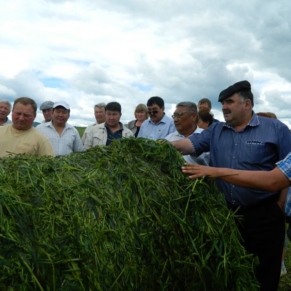 Главная задача - сформировать необходимую кормовую базу для животноводства