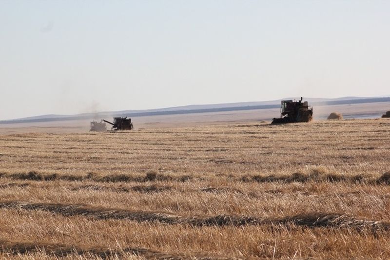 На полях Забайкальского края продолжается уборка урожая