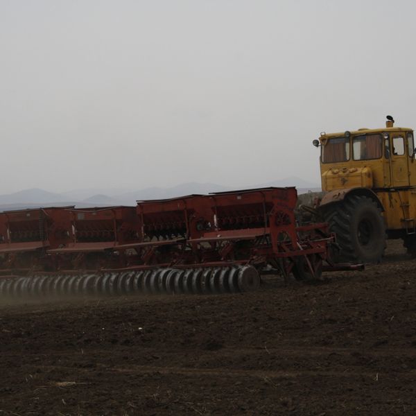 Погода приаргунский дурой