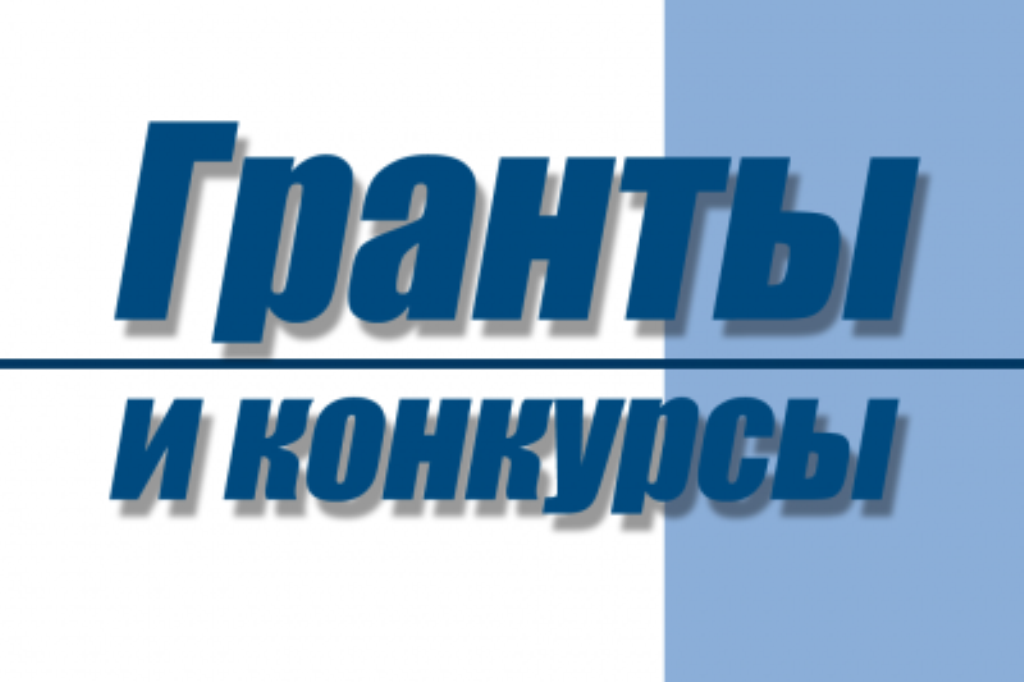 Восемь муниципальных районов получат гранты на реализацию общественно-значимых проектов