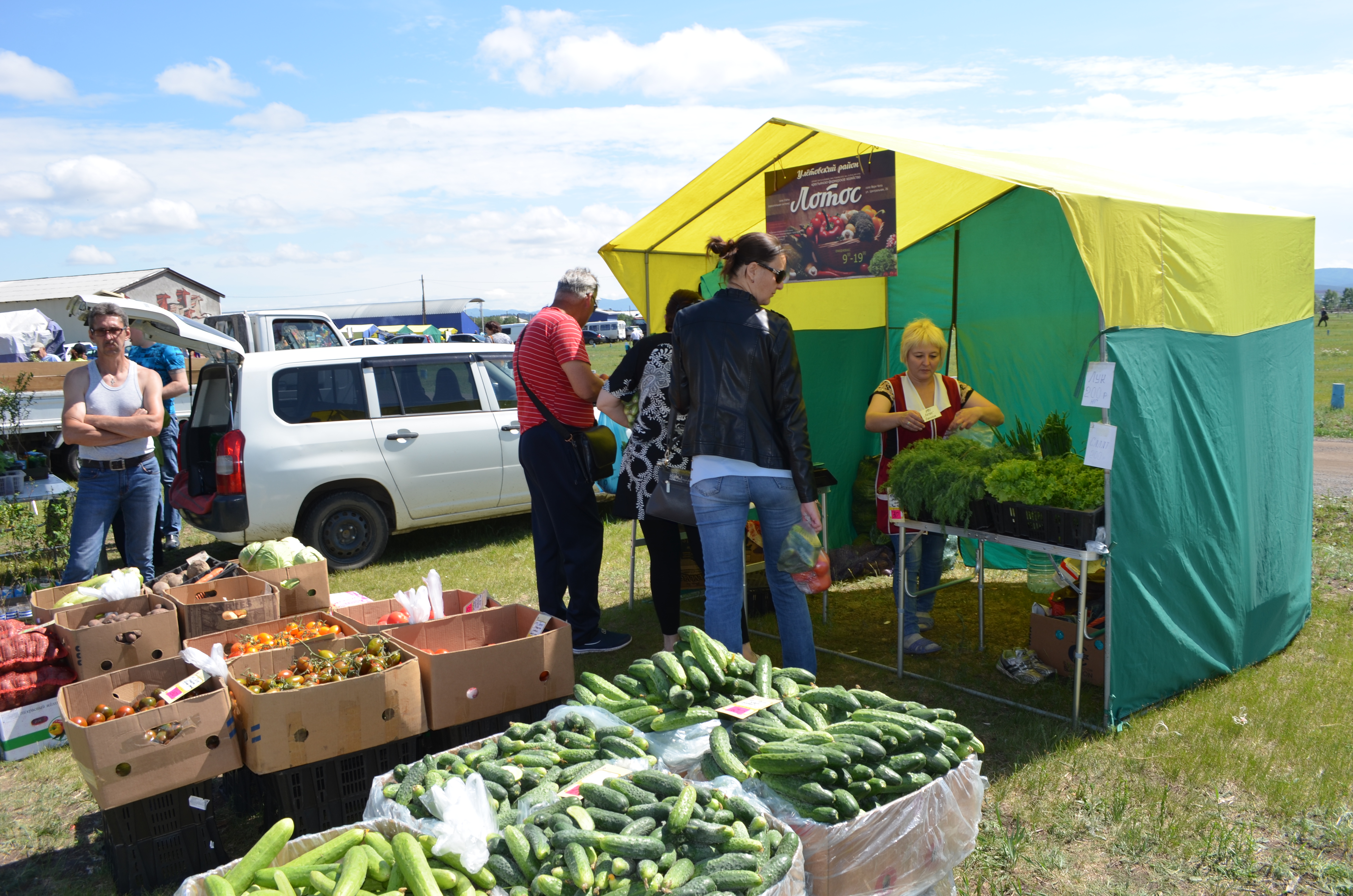 Выставка-ярмарка сельхозпродукции состоится на Читинской госконюшне 15 июня