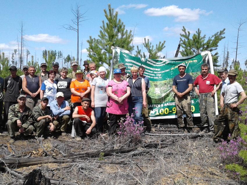 Чит ру новости забайкальского края