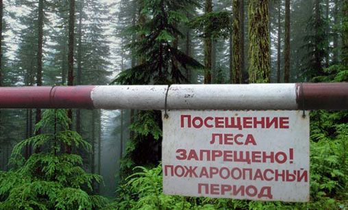 Режим, ограничивающий пребывание граждан в лесах в Забайкалье продлен до 30 июня 2017 года