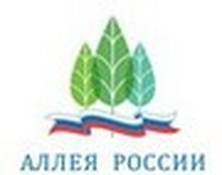 Акция «Аллея России» предлагает выбор одного из пяти растений в качестве символа для Забайкальского края
