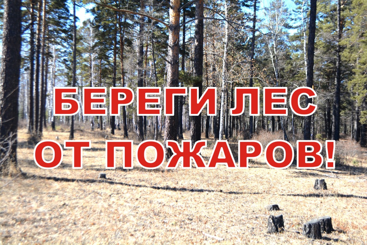 О пожарной ситуации в Забайкалье на 17:00 28 июня
