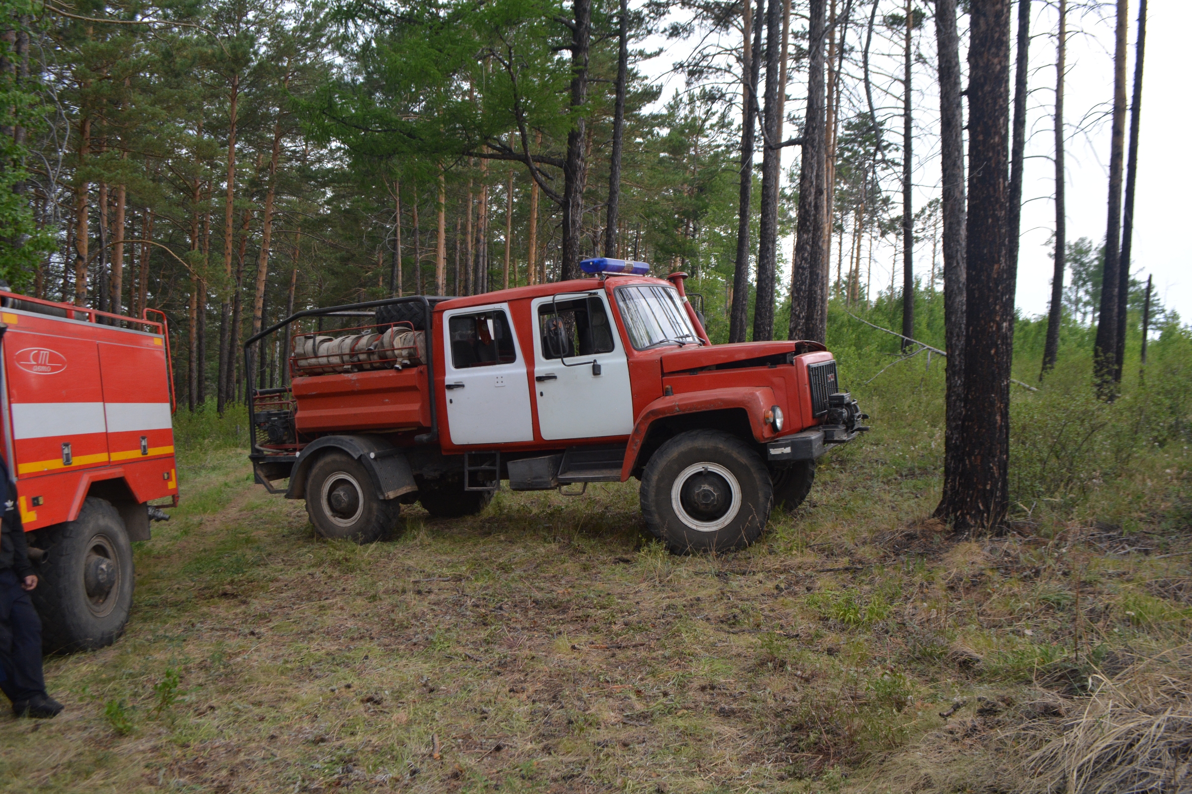 Лесной пожарный автомобиль