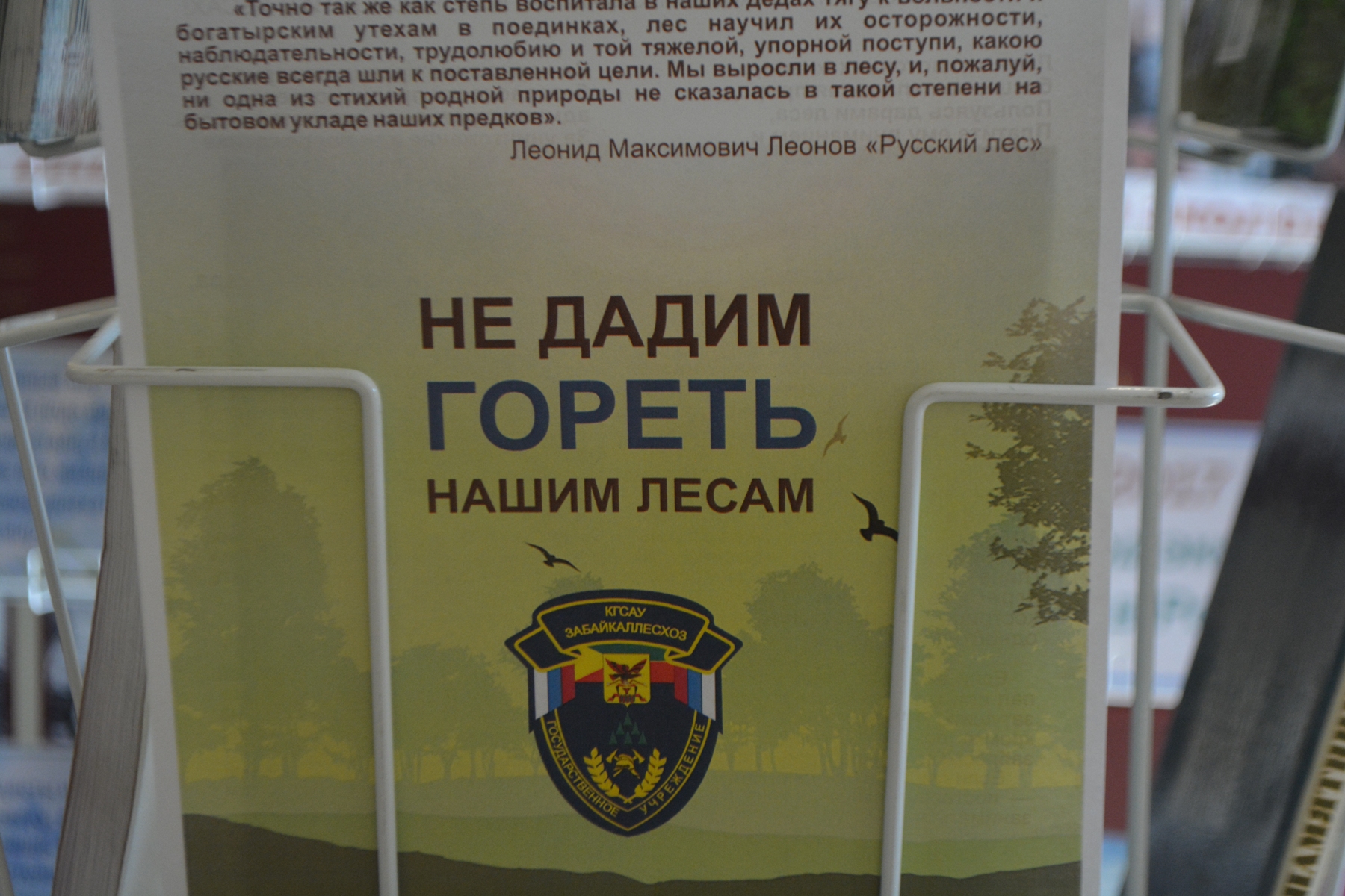 О пожарной ситуации в Забайкалье на 17.00 на 13 апреля