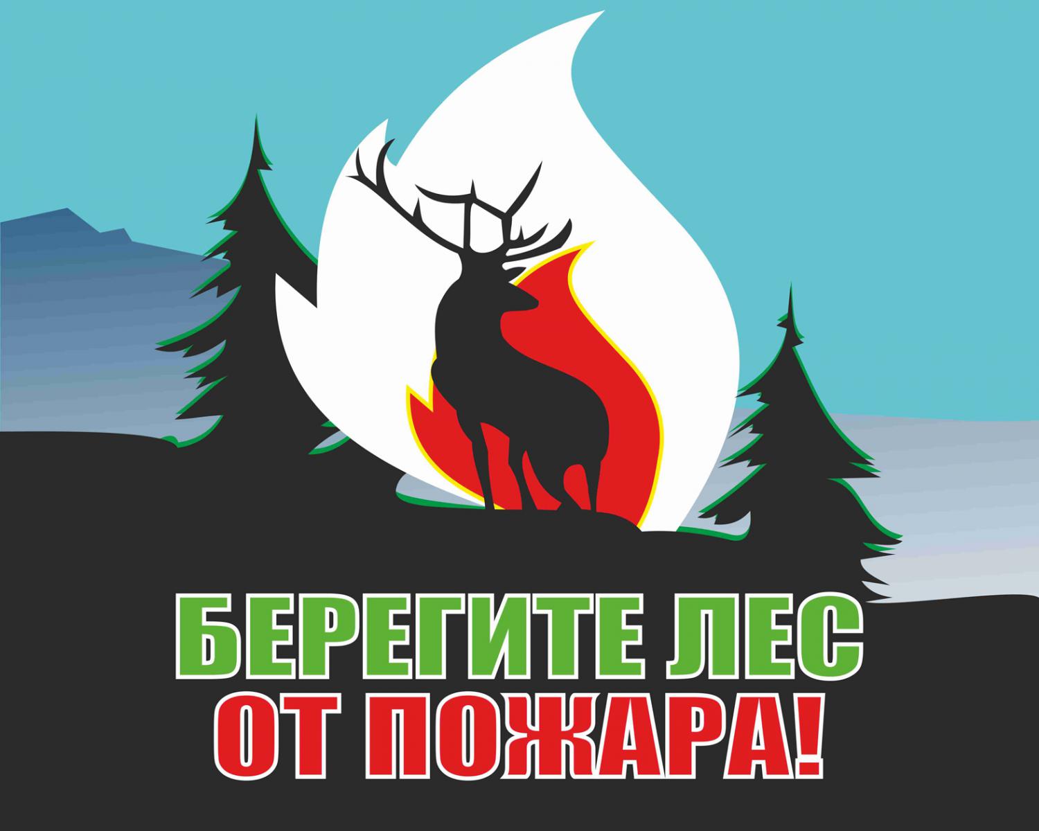О пожарной ситуации в Забайкальском крае на 14.00 15 мая