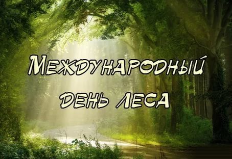 Международный день леса
