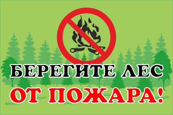 О правилах соблюдения пожарной безопасности в лесах