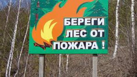 Минприроды края проводит разъяснительные работы с населением для предупреждения лесных пожаров