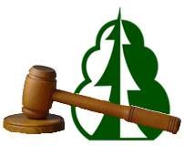 О проведении аукциона по продаже права на заключение договора аренды лесного участка