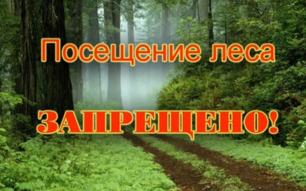 В шести районах края введено ограничение пребывания граждан в лесах в связи с пожарами