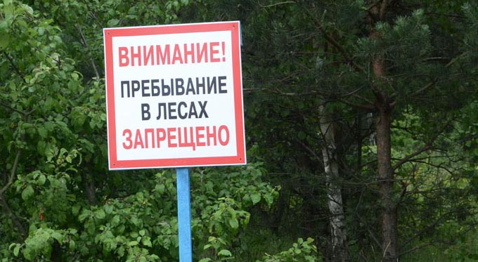 С 27 апреля по 16 мая ограничено пребывание граждан в лесах
