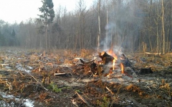 На территории Забайкальского края ликвидировано 16 лесных пожаров на общей площади более 10000 га