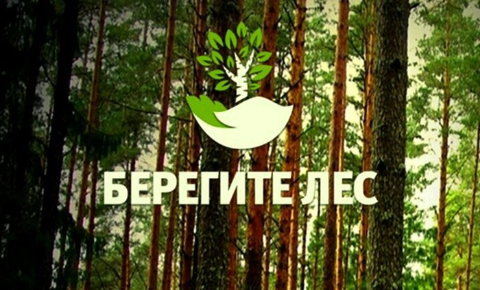 ФБУ «Авиалесоохрана» разработала мобильное приложение «Берегите лес»
