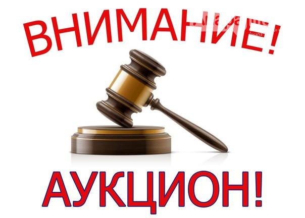 Министерство природных ресурсов Забайкальского края проводит аукцион на право заключение договоров купли-продажи лесных насаждений