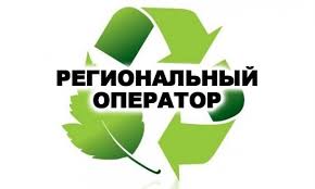 Запуск новой системы регулирования в области обращения с ТКО предусмотрен поэтапный