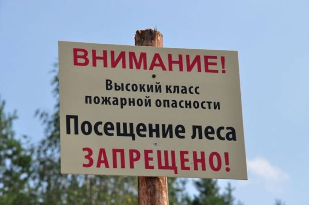 с 17 мая по 6 июня ограничено пребывание граждан в лесах