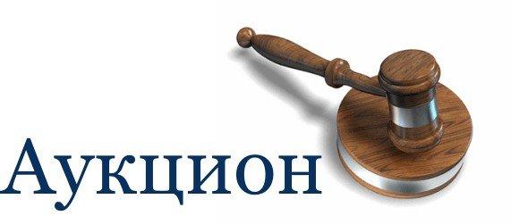 О проведении аукционов на право заключения договоров купли-продажи лесных насаждений