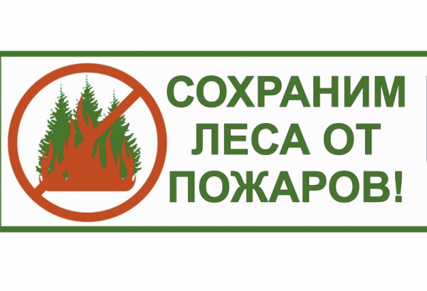 С 7 июня по 27 июня ограничено пребывание граждан в лесах и въезда в них транспортных средств