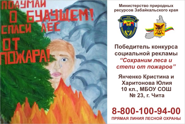 На территории лесного фонда Забайкалья ликвидировано 3 лесных пожара