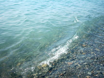 Минприроды России намерено формировать «черные» списки водопользователей, фиктивно участвующих в аукционах