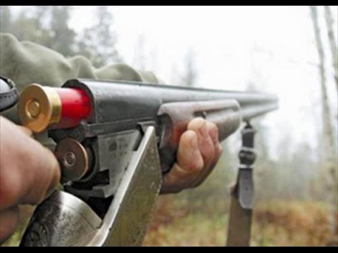 Сотрудники ООПТ Минприроды края выявили 7 фактов нарушения природоохранного законодательства