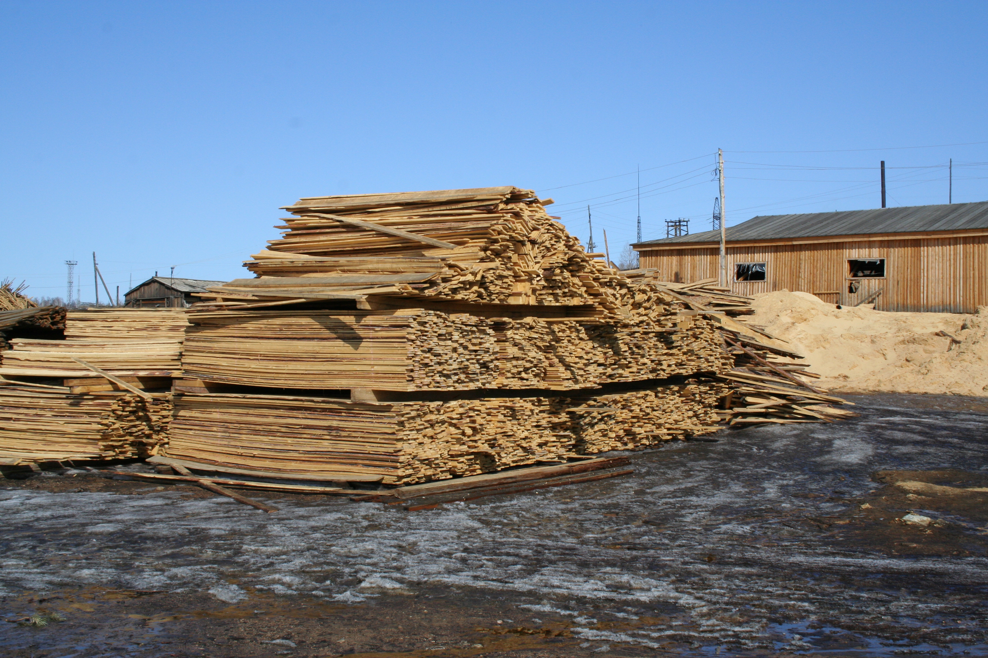 Утвержден новый порядок постановки на учет пунктов приема и отгрузки древесины на территории Забайкальского края