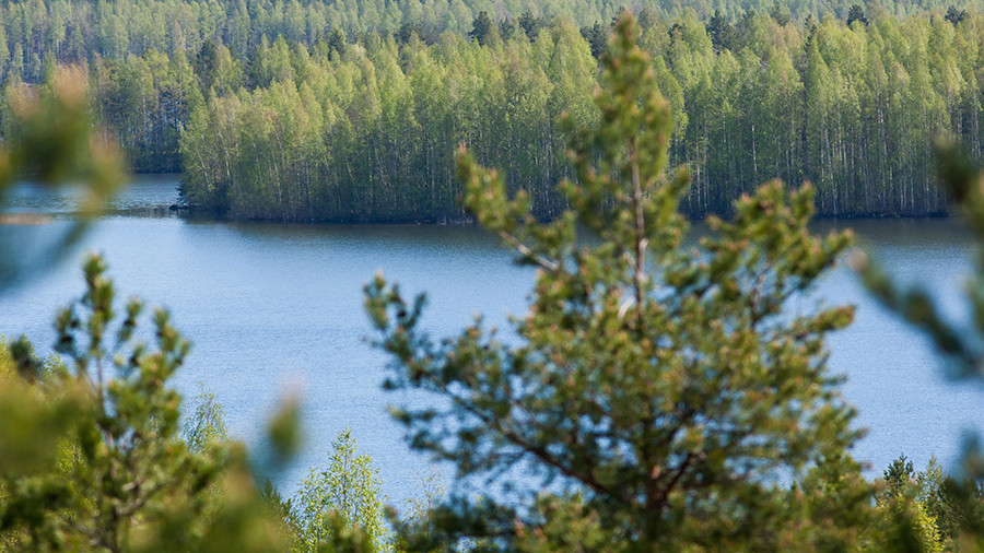 Лесной план забайкальского края