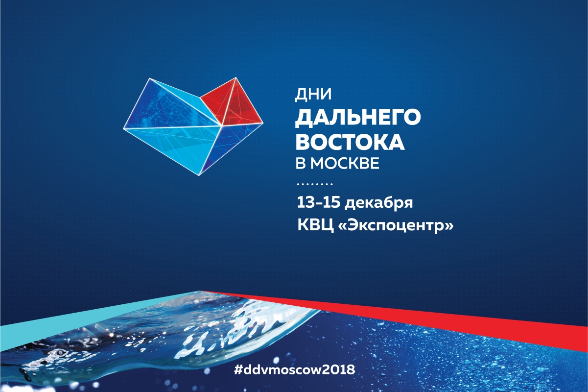 Экологическому волонтерству будет посвящена отдельная сессия на международном форуме добровольцев