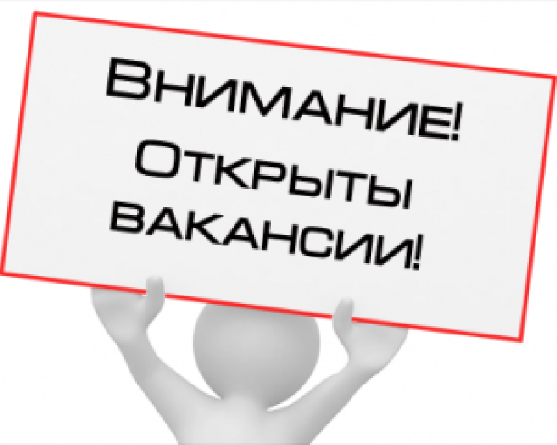 В Министерстве природных ресурсов Забайкальского края имеются вакансии для замещения должностей государственной гражданской службы без конкурсов: