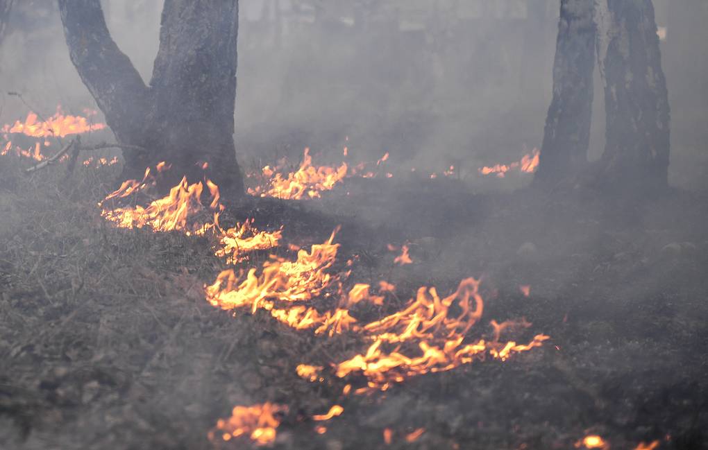 Пожароопасный период в забайкальском крае. Лесной пожар в Баяндаевском районе.