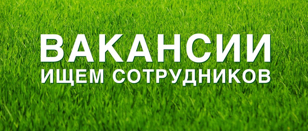 Сведения о вакантных должностях в Министерстве природных ресурсов Забайкальского края