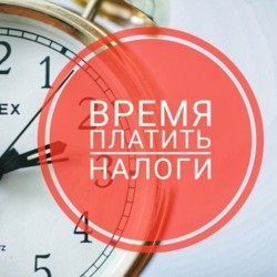 Консультирование по вопросам налогообложения физических лиц проводится в офисах МФЦ